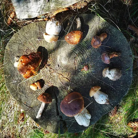 Apartmán Butikowe W Sudetach - Trzy Morza - Pod Gora Trojmorski Wierch