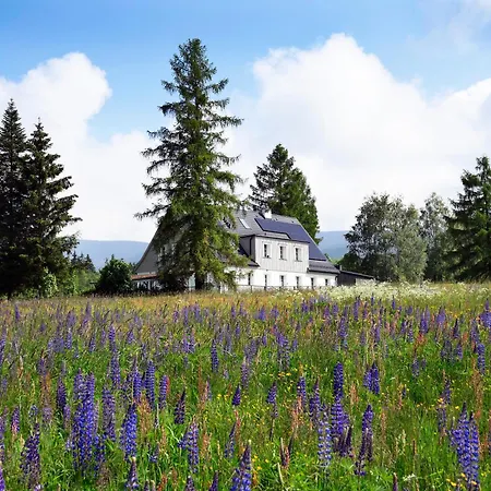 Butikowe W Sudetach - Trzy Morza - Pod Gora Trojmorski Wierch