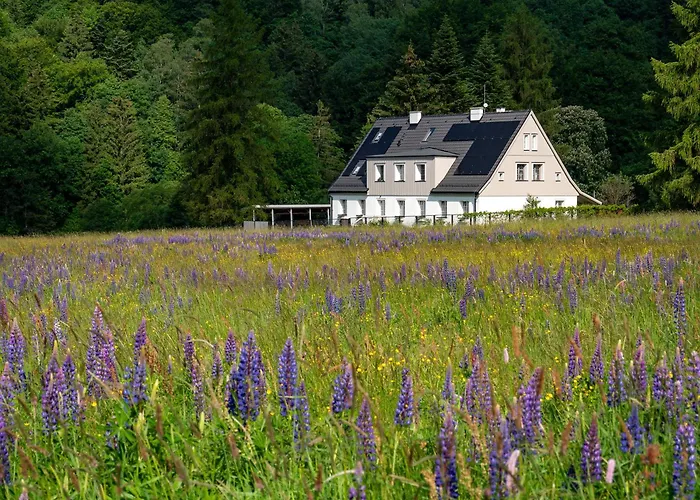 Butikowe W Sudetach - Trzy Morza - Pod Gora Trojmorski Wierch Διαμέρισμα *