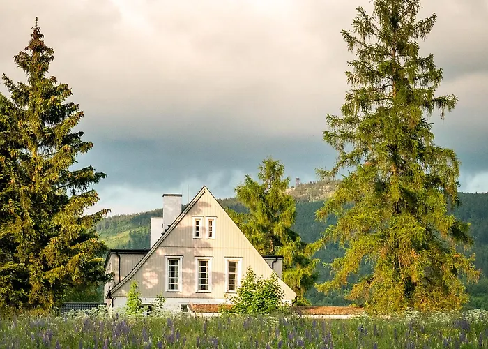 Butikowe W Sudetach - Trzy Morza - Pod Gora Trojmorski Wierch *