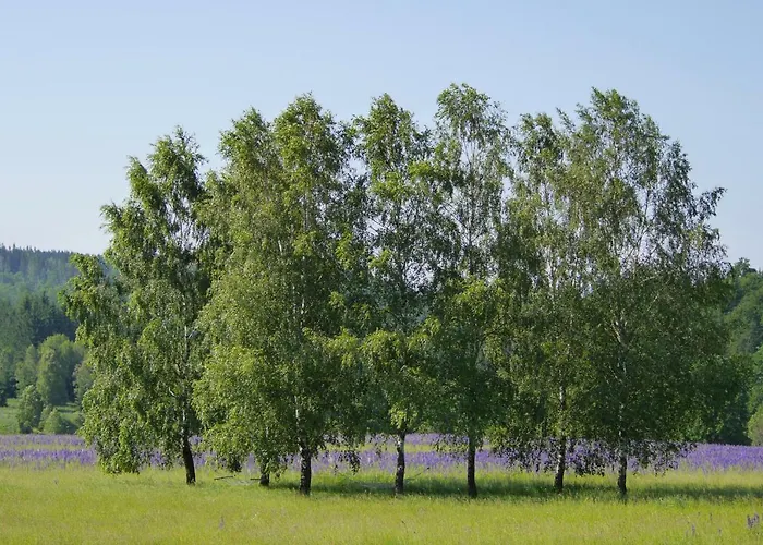 Trzy Morza - Pod Trójmorskim Wierchem *